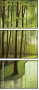 67585289