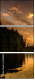 67616317