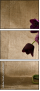 67654847