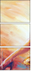 67768906