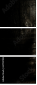 67787028