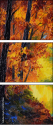 67857366