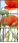 67906931