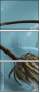 67938028
