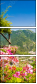 67960618