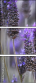 68001628