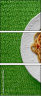 68113963