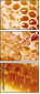 68182564