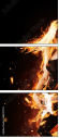 68202734