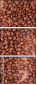 68206263