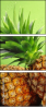 68208403