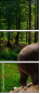 68271781