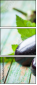 68628589