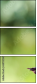68702565