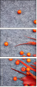 68721150