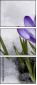 68748195