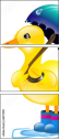 68778119