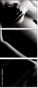 68806614