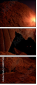 68817583