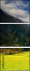 68937956