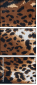69044365