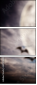 69130604