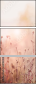 69193980