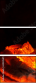 69305872