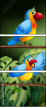 69310378