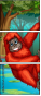 69310708