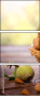 69327297