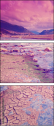 69405869
