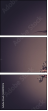 69419476