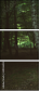 69436543