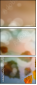 69448730