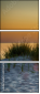 69455615