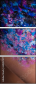 69457575