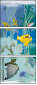 69509964