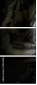 69546353
