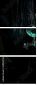 69584743