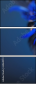 69641172