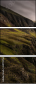 69759764