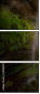 69988477