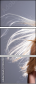70034935