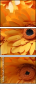 701850992