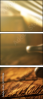 70192186