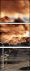 71315910
