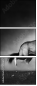 71412657