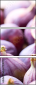 71518777
