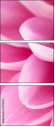71579272